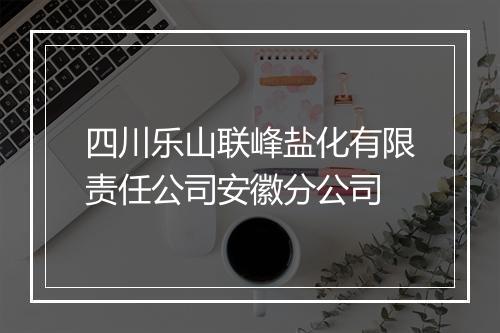 四川乐山联峰盐化有限责任公司安徽分公司