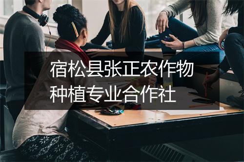 宿松县张正农作物种植专业合作社