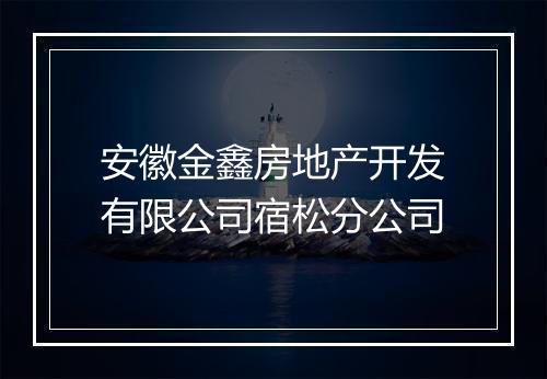 安徽金鑫房地产开发有限公司宿松分公司