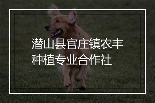潜山县官庄镇农丰种植专业合作社