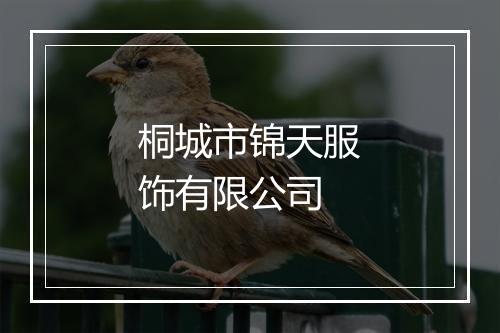 桐城市锦天服饰有限公司