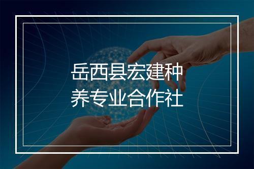 岳西县宏建种养专业合作社