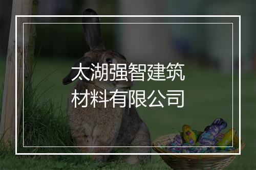 太湖强智建筑材料有限公司