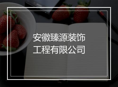 安徽臻源装饰工程有限公司