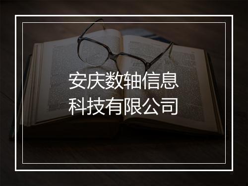 安庆数轴信息科技有限公司