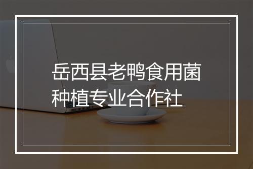 岳西县老鸭食用菌种植专业合作社