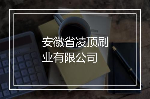 安徽省凌顶刷业有限公司