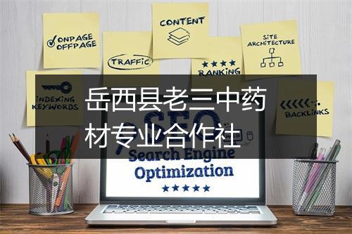 岳西县老三中药材专业合作社