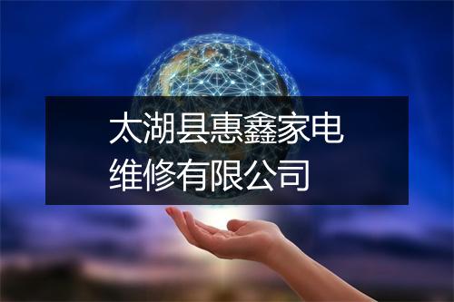 太湖县惠鑫家电维修有限公司