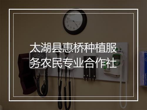 太湖县惠桥种植服务农民专业合作社