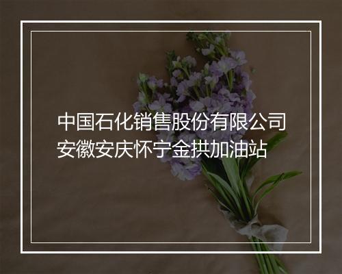 中国石化销售股份有限公司安徽安庆怀宁金拱加油站