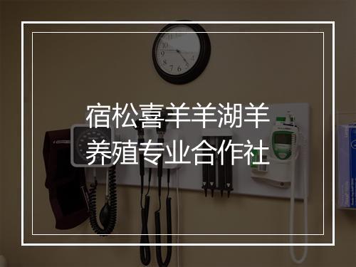 宿松喜羊羊湖羊养殖专业合作社