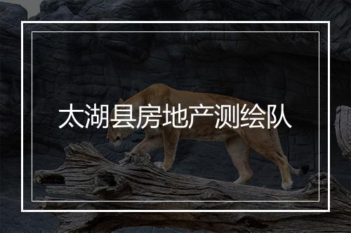 太湖县房地产测绘队