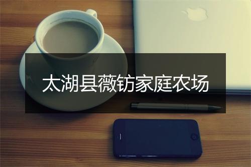 太湖县薇钫家庭农场