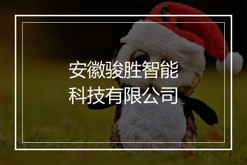 安徽骏胜智能科技有限公司