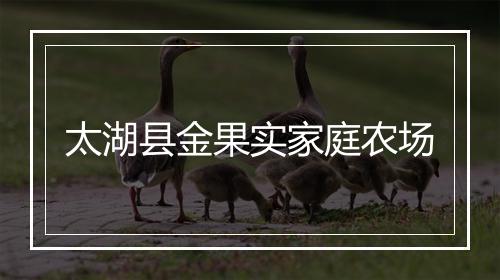 太湖县金果实家庭农场
