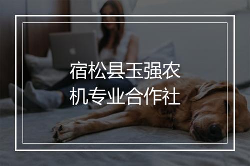 宿松县玉强农机专业合作社