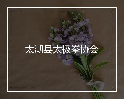 太湖县太极拳协会