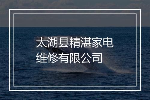 太湖县精湛家电维修有限公司