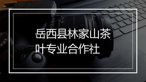 岳西县林家山茶叶专业合作社