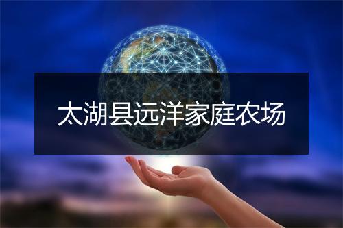 太湖县远洋家庭农场