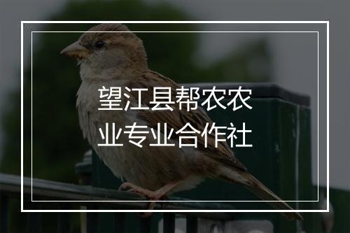 望江县帮农农业专业合作社