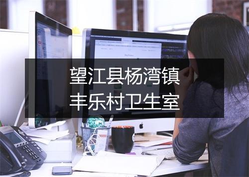 望江县杨湾镇丰乐村卫生室