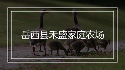 岳西县禾盛家庭农场