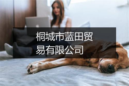 桐城市蓝田贸易有限公司