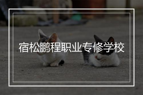 宿松鹏程职业专修学校