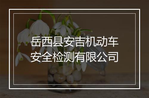 岳西县安吉机动车安全检测有限公司