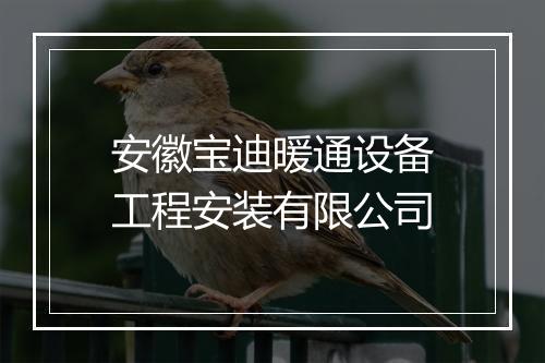 安徽宝迪暖通设备工程安装有限公司