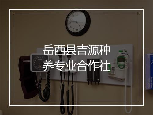 岳西县吉源种养专业合作社