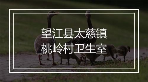 望江县太慈镇桃岭村卫生室