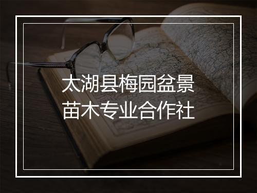 太湖县梅园盆景苗木专业合作社