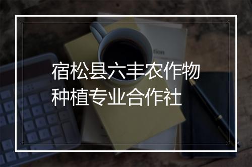 宿松县六丰农作物种植专业合作社