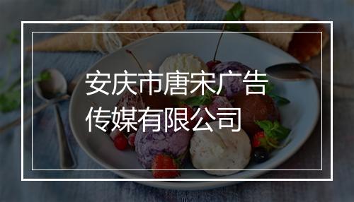 安庆市唐宋广告传媒有限公司