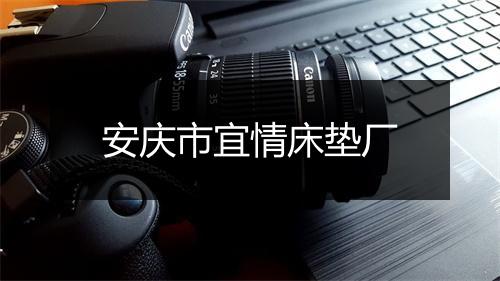 安庆市宜情床垫厂