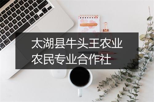 太湖县牛头王农业农民专业合作社