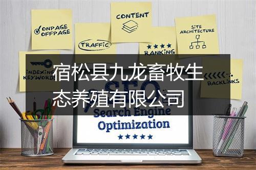 宿松县九龙畜牧生态养殖有限公司