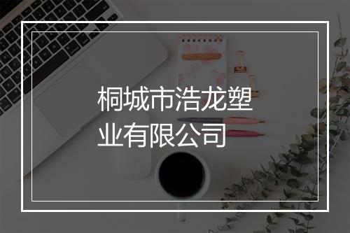 桐城市浩龙塑业有限公司