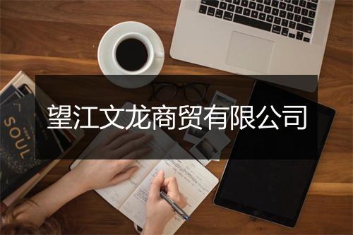 望江文龙商贸有限公司