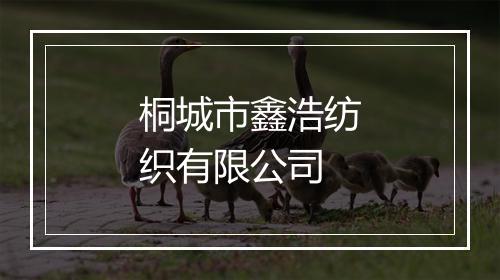 桐城市鑫浩纺织有限公司