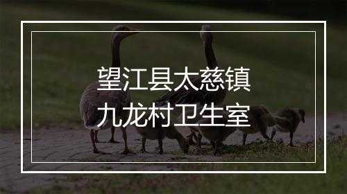 望江县太慈镇九龙村卫生室