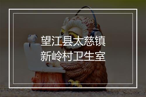 望江县太慈镇新岭村卫生室