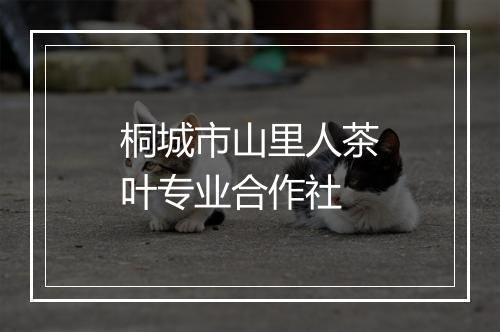 桐城市山里人茶叶专业合作社