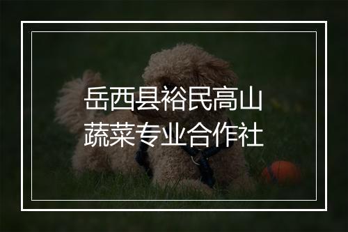 岳西县裕民高山蔬菜专业合作社
