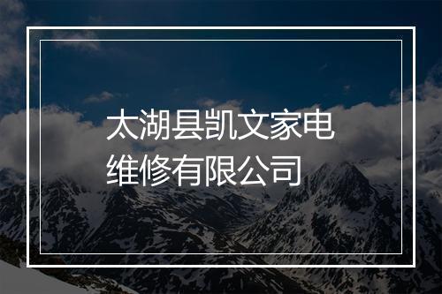 太湖县凯文家电维修有限公司