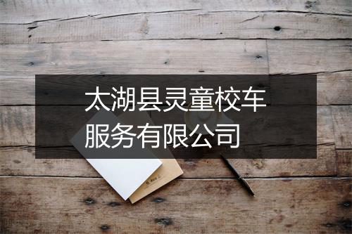 太湖县灵童校车服务有限公司