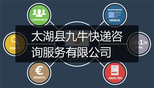 太湖县九牛快递咨询服务有限公司